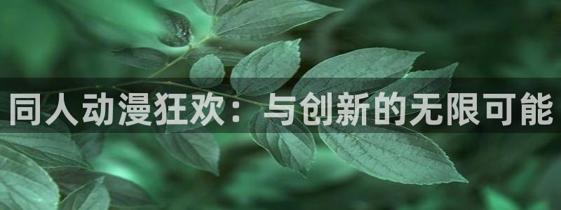 抖漫,免费版：同人动漫狂欢：与创新的无限可能